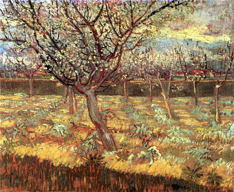 Apricot Trees in Blossom 2 Willem Van Gogh Oil Painting